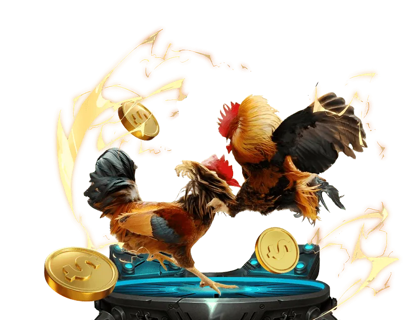 Đội ngũ hỗ trợ chuyên nghiệp của Sunwin